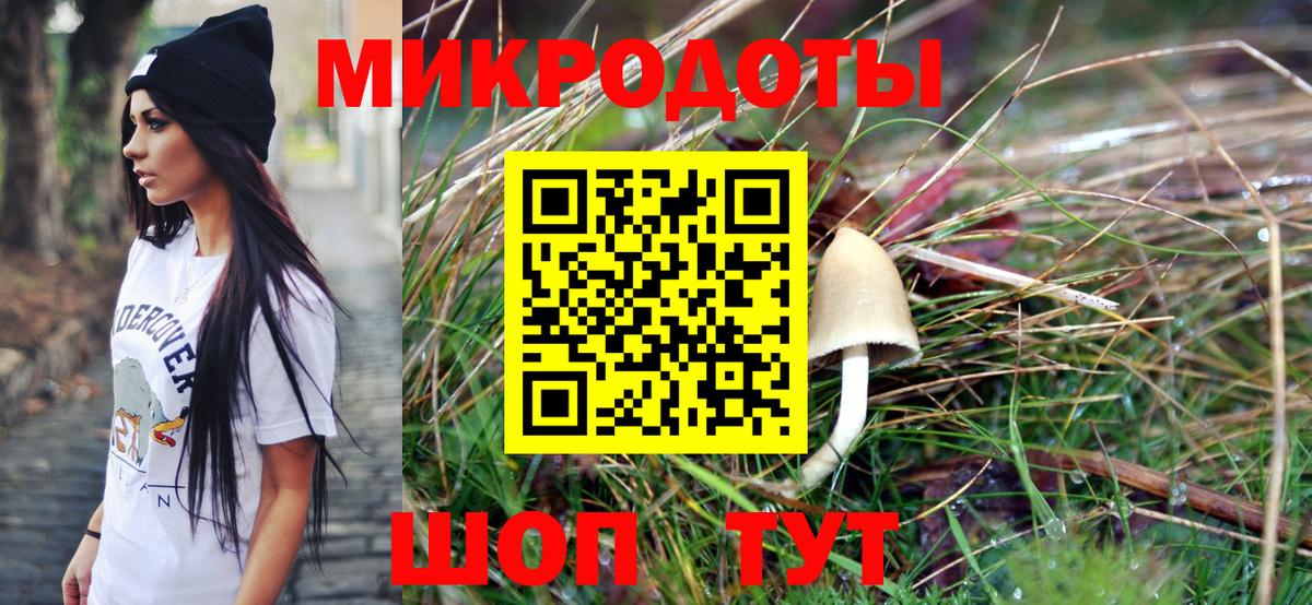 Псилоцибиновые грибы Psilocybe Усолье-Сибирское